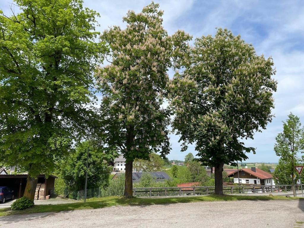 Ferienwohnung Meridiana Tuntenhausen Esterno foto
